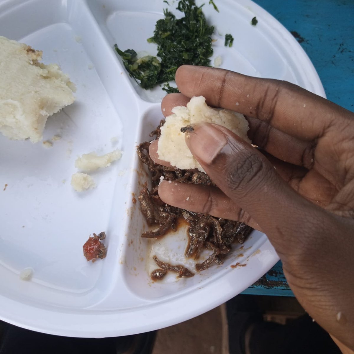 Gidi014's tweet photo. Lil gakiis, greens and ugali for supper. Mwala nini nyinyi? https://t.co/EGUU3HMoub