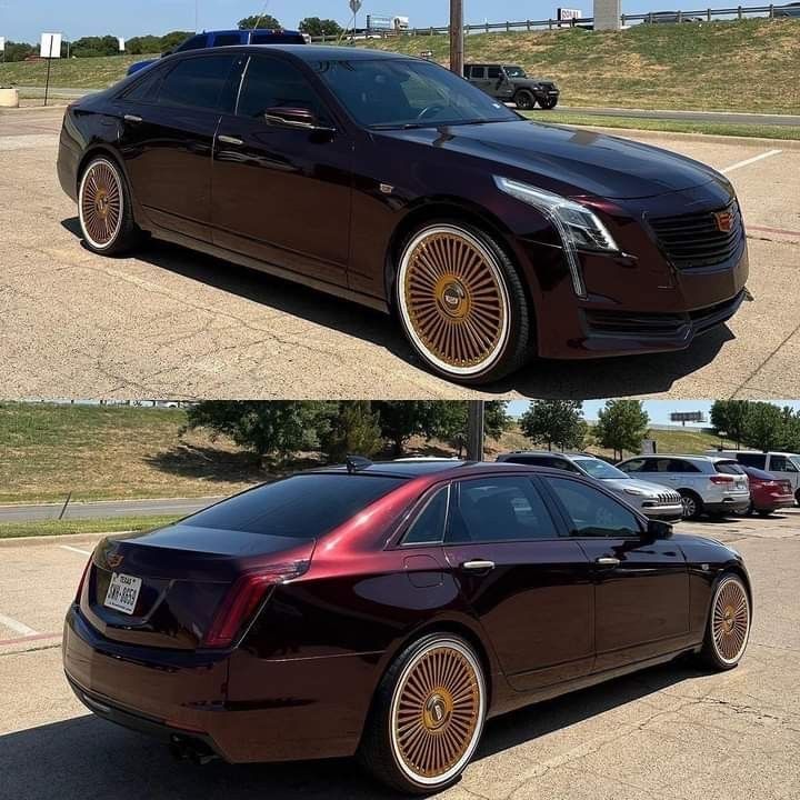 voguetyres's tweet photo. Turn heads. Ride Vogue Tyres. 👑
#VogueTyres #VogueTyre #VogueLife #RideInStyle #CustomCars https://t.co/oFA4EGPGG0