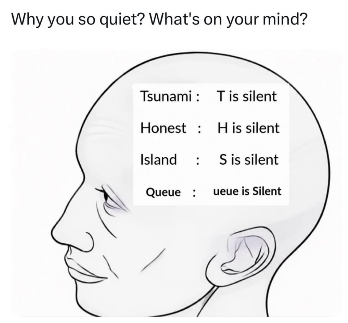 RespectfulMemes's tweet photo. https://t.co/jPzJgXXEpv