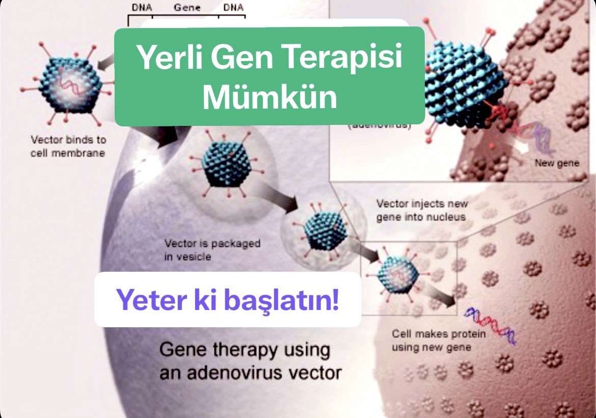 HseyinArsl97355's tweet photo. Zaman DMD’de ilacın kendisi. Onaylı Vamorolone için SGK’nın onayıyla bürokratik engeller kalksın‼️ çocuklarımız istenilen tedaviye ulaşsın‼️
#DMDiçinAdımAtın"
@saglikbakanligi @tusebgovtr 
@tcbestepe @drmemisoglu 
Mansur Yavaş
"UEFA Şampiyonlar Ligi 2"
#yks2026
Ece üner
#altın https://t.co/YYgwbng8Gg