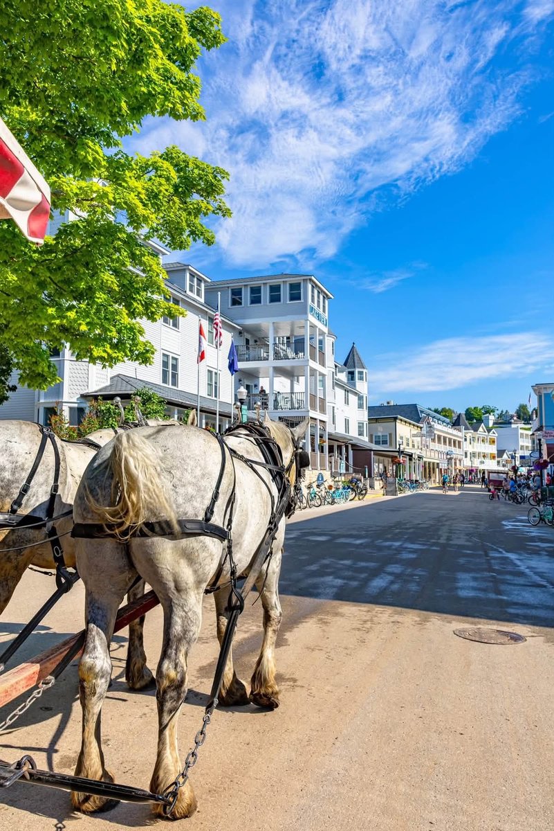 MustangLounge's tweet photo. This is Mackinac Island #PureMichigan
📸 Katharine Rose Photography https://t.co/CLyntg1Fdm