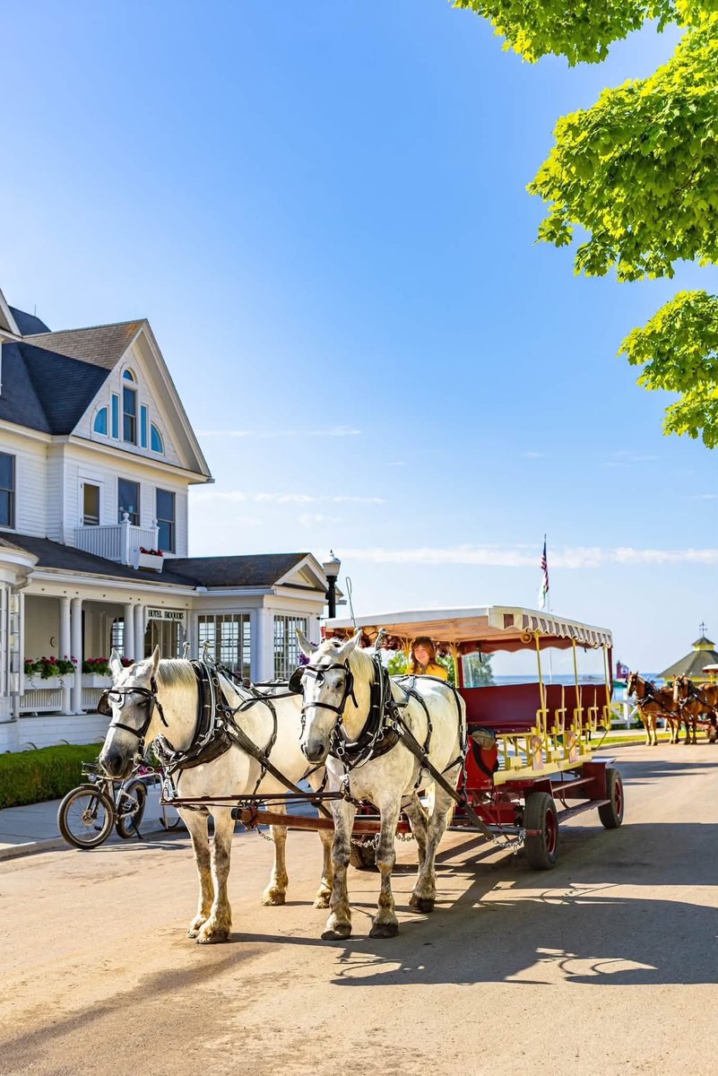 MustangLounge's tweet photo. This is Mackinac Island #PureMichigan
📸 Katharine Rose Photography https://t.co/CLyntg1Fdm