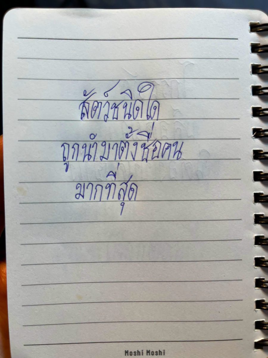 poppy_rjk's tweet photo. สัตว์ชนิดใดถูกนำมาตั้งชื่อคนมากที่สุด? https://t.co/da4TDdaQPW