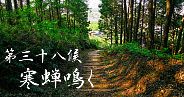 k_koyomi's tweet photo. #蜩鳴く (ひぐらし なく)
8/13～8/17は七十二候の38候、二十四節気、#立秋の次候
日が傾き、木々の影が伸び始める頃に #蜩の声 が聞こえるようになると夏の終わりも間近。なぜか寂しさをおぼえます。

#七十二候 https://t.co/M2rGxyIgss
#二十四節気 https://t.co/FvuRiRQgMe
#こよみのページ https://t.co/ygwWCzfHAc