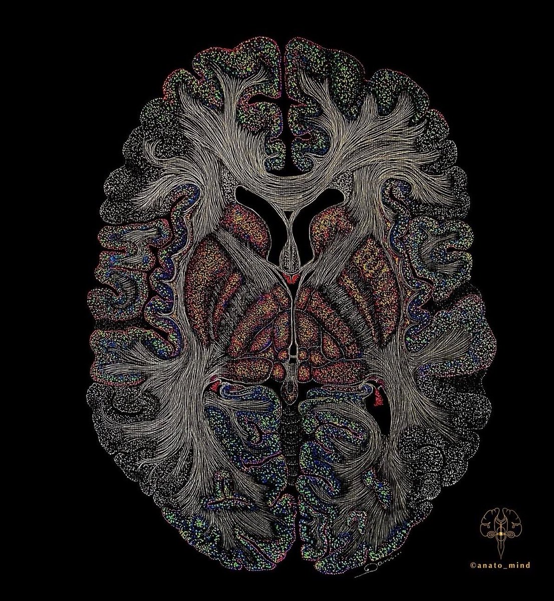 Buni_facia's tweet photo. 22 de julio 
Día mundial del cerebro. 
Úselo juiciosamente. https://t.co/QQU3a4oLsm