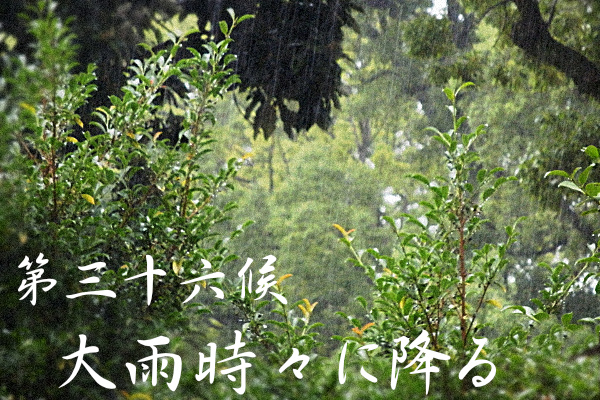 k_koyomi's tweet photo. #大雨時々降る (たいう ときどきふる)
8/2～8/6は七十二候の36候、二十四節気、#大暑の末候
青空に背の高い積乱雲が現れ、強い日差しを遮ると同時に激しい夕立が降る、そんな日々がやってきます。

#七十二候 https://t.co/M2rGxyHICU
#二十四節気 https://t.co/FvuRiRPIWG
#こよみのページ https://t.co/4jrrKt6GdJ