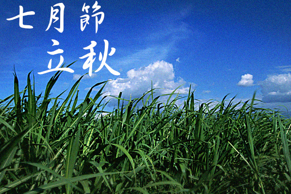 k_koyomi's tweet photo. #立秋 (りっしゅう) 8/7～22
今日から二十四節気、「立秋」の期間が始まります
立秋の意味は『初めて秋の気立つがゆへなれば也』（暦便覧）
一年で一番暑い頃ですが、あとは涼しくなるだけ。探せば秋の始まりを感じさせるものが見つかるかも。

#二十四節気 https://t.co/FvuRiRQgMe
#こよみのページ https://t.co/NzNO9b6sG9