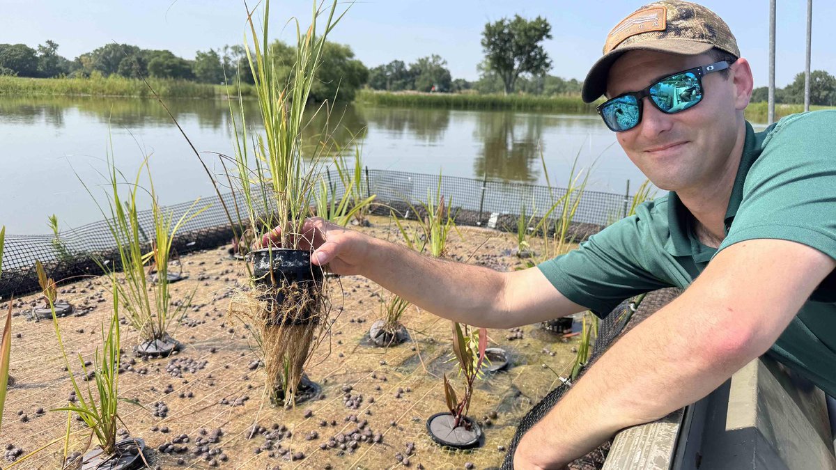 wttw's tweet photo. Compared with the Great Lakes, the six-acre Schiller Pond is a puddle. But this tiny body of water could make a huge contribution to conservation practices at the Forest Preserve District of Cook County, with a first-of-its-kind project for the district.

https://t.co/VZGoEKQ3U5 https://t.co/GMlZLfn9F4