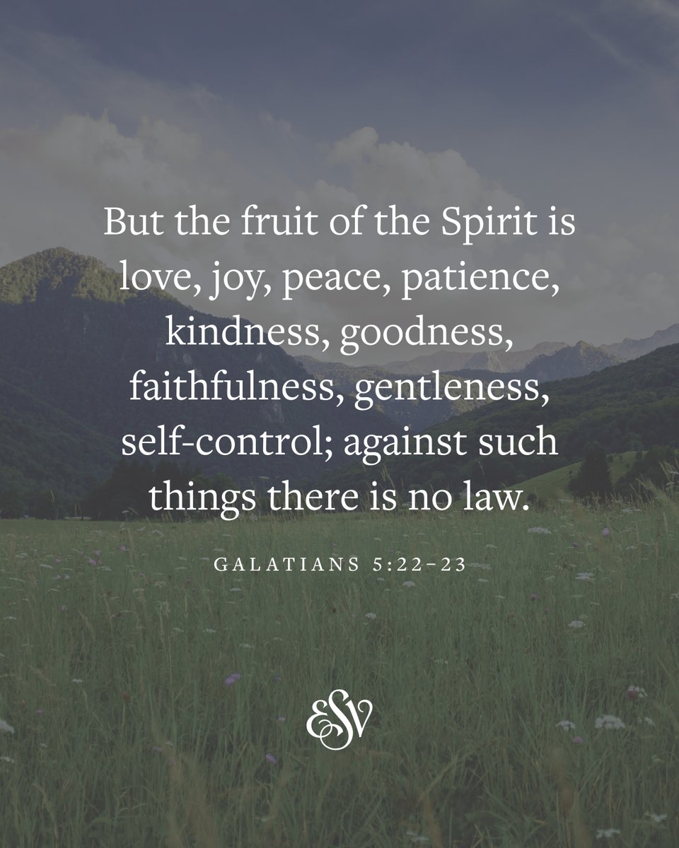crossway's tweet photo. Galatians 5:22–23 (ESV)

Where do you find the power to live out this verse?

#ESV #Bible #VerseoftheDay #Galatians https://t.co/pQuhZpkA6E