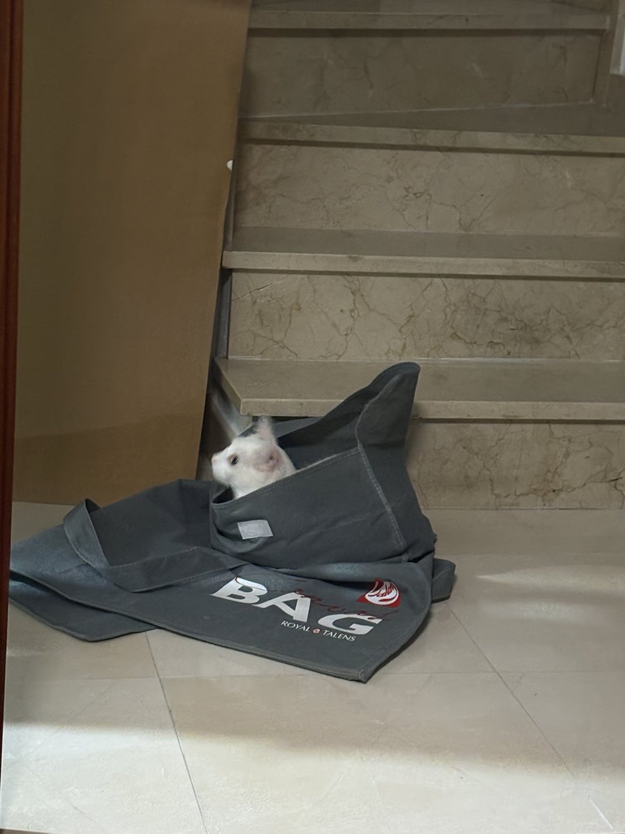 nati_0x's tweet photo. Lo es todo https://t.co/JjUihVPvji