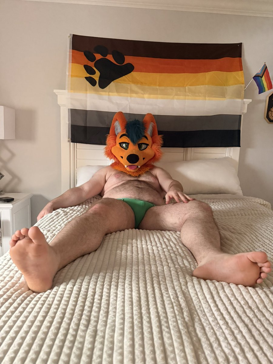 DingosDen_AD's tweet photo. Wanna cuddle? https://t.co/SIUiTIcOdO