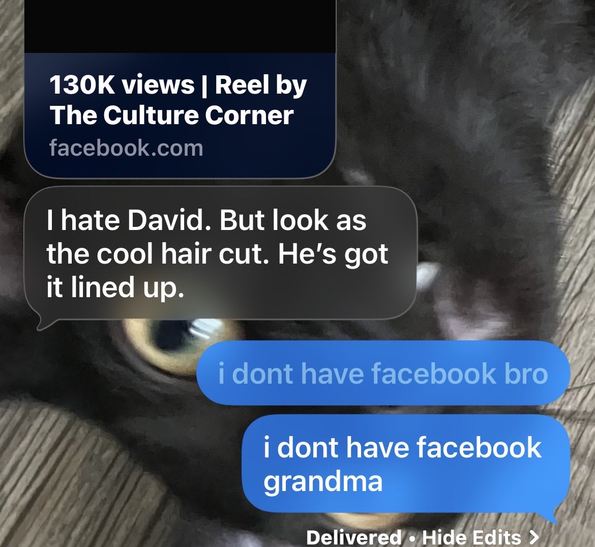 sleepypinkerton's tweet photo. accidentally called my grandma “bro” because too many people were messaging me at once and i got overwhelmed #fuckinghell https://t.co/HUQ1uWDfoP