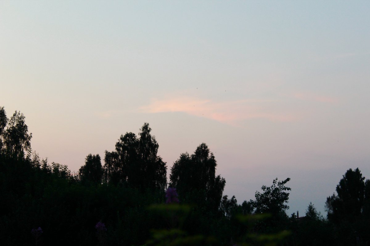 Railway_vt's tweet photo. Вечера https://t.co/Ra081IvIam