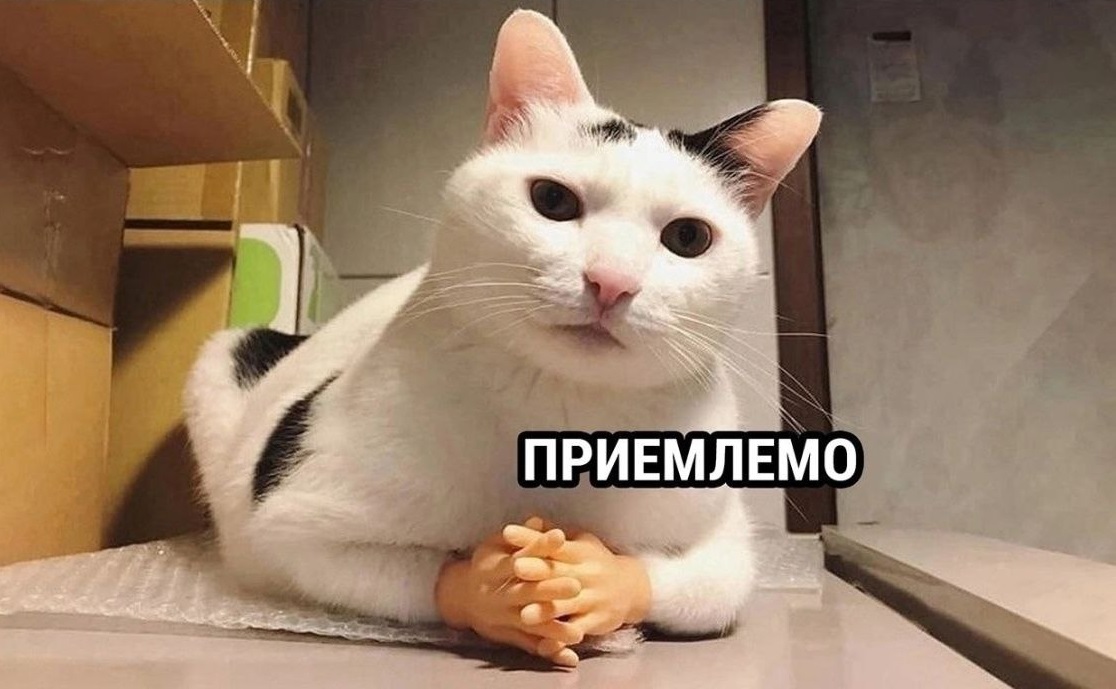 AlexandrSpirit tweet picture
