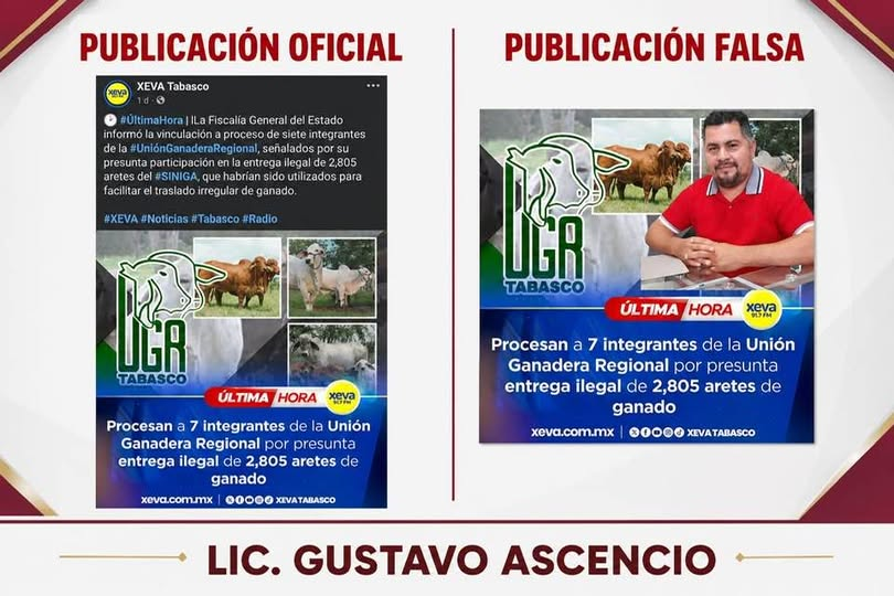 ChocoFakeRadar's tweet photo. #Fakenews #Tabasco
Difunde el usuario Gustavo Asencio un desmentido de una publicación en su contra. En sus redes sociales publicó el siguiente mensaje: (continúa) https://t.co/f0fwPPBr1m