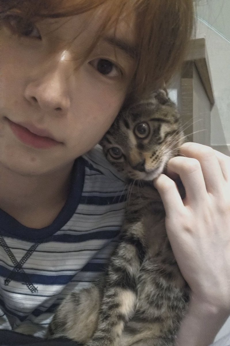 Oarc1511's tweet photo. 我的小猫与我 https://t.co/m4zyFomIOx