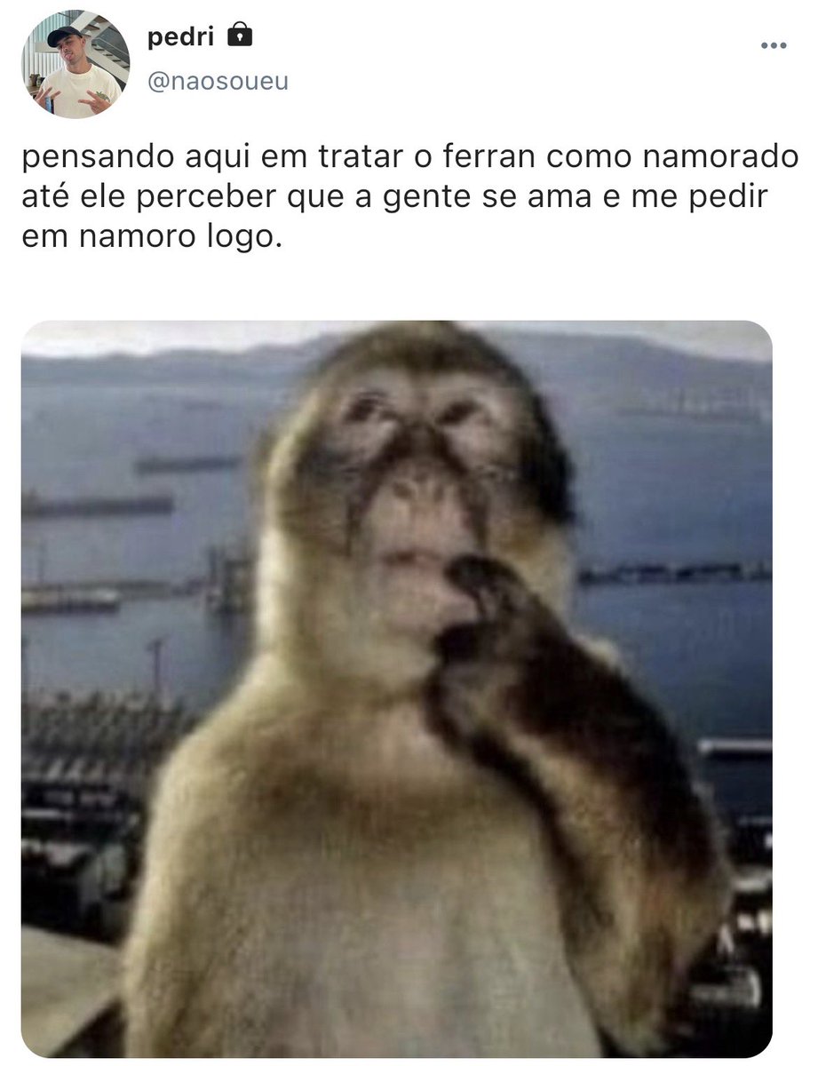 pepe - fedri au tweet media