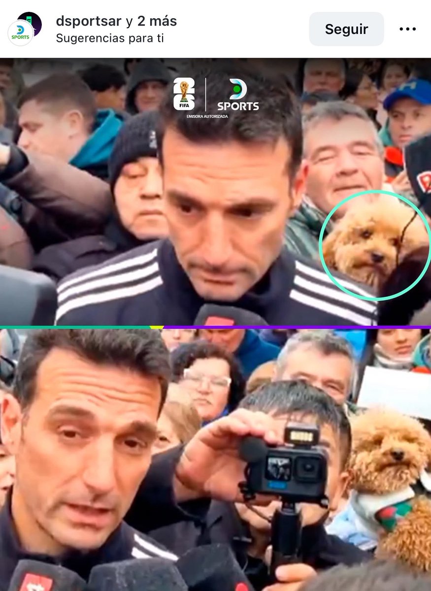 VDWgiu's tweet photo. Lo que me hace reir que una paraguaya dijo que no entiende xq argentina esta llena de caniches y justo me salio esta foto 😭😭 https://t.co/CJp66OjixX