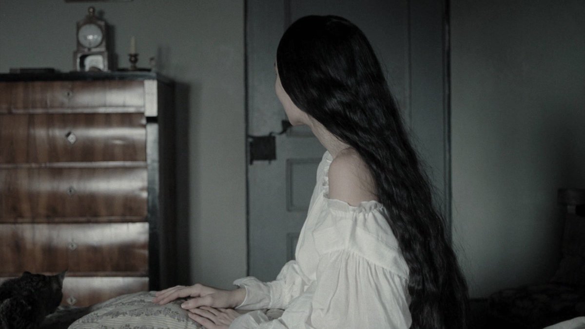 eyremoors's tweet photo. whenever i think of cutting my hair, i’m reminded of these long haired beauties and reconsider https://t.co/NJ3P7q5FfA