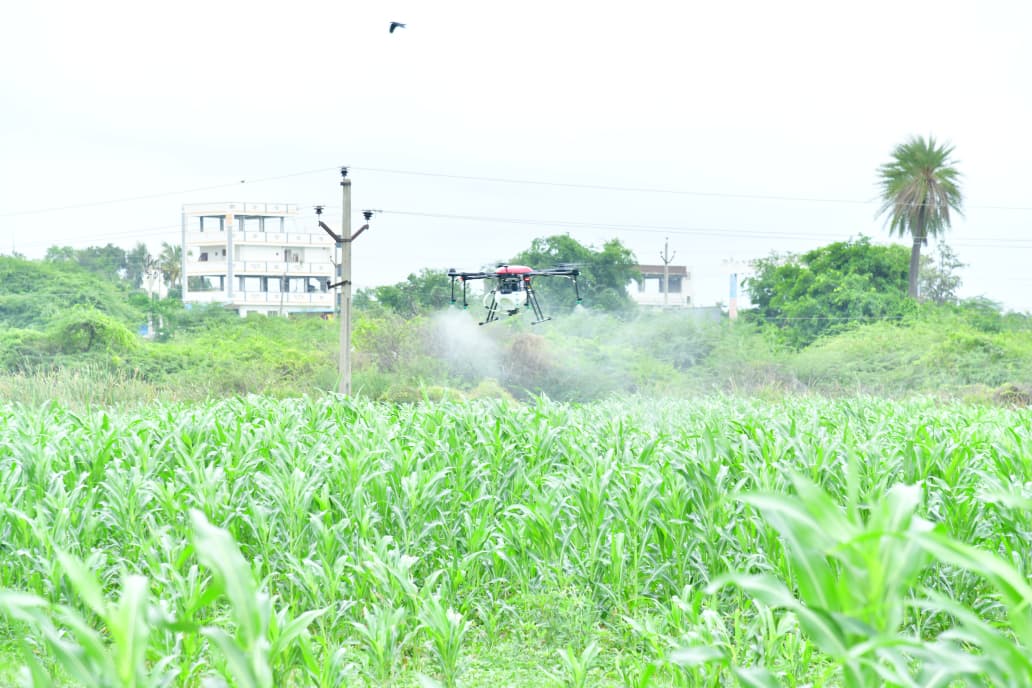 Collector_MBNR's tweet photo. భూత్పూర్ రైతు వేదికలో బుధవారం నిర్వహించిన గ్రోమోర్ నానో ఎరువుల అవగాహన కార్యక్రమంలో జిల్లా కలెక్టర్ శ్రీమతి ఖుష్బూ గుప్తా, IAS గారు వ్యవసాయ అధికారులు, మండల వ్యవసాయ అధికారులు (MAOs), వ్యవసాయ ��ిస్తరణ అధికారులు (AEOs)తో కలిసి ప్రత్యామ్నాయ కార్యాచరణ ప్రణాళిక, ప్రత్యామ్నాయ పంటల సాగు, ఎల్‌నినో ప్రభావం, నానో యూరియా ప్రయోజనాలపై సమీక్ష నిర్వహించారు. ఎల్‌నినో ప్రభావంతో వర్షాభావ పరిస్థితులు నెలకొనే అవకాశం ఉన్న నేపథ్యంలో రైతులు సంప్రదాయ పంటలతో పాటు తక్కువ నీటితో సాగు చేయగల ప్రత్యామ్నాయ పంటలపై దృష్టి సారించాలని సూచించారు. @TelanganaCMO @TelanganaCS @IPRTelangana #ElNino #ContingencyPlan #AlternativeCrops #NanoUrea