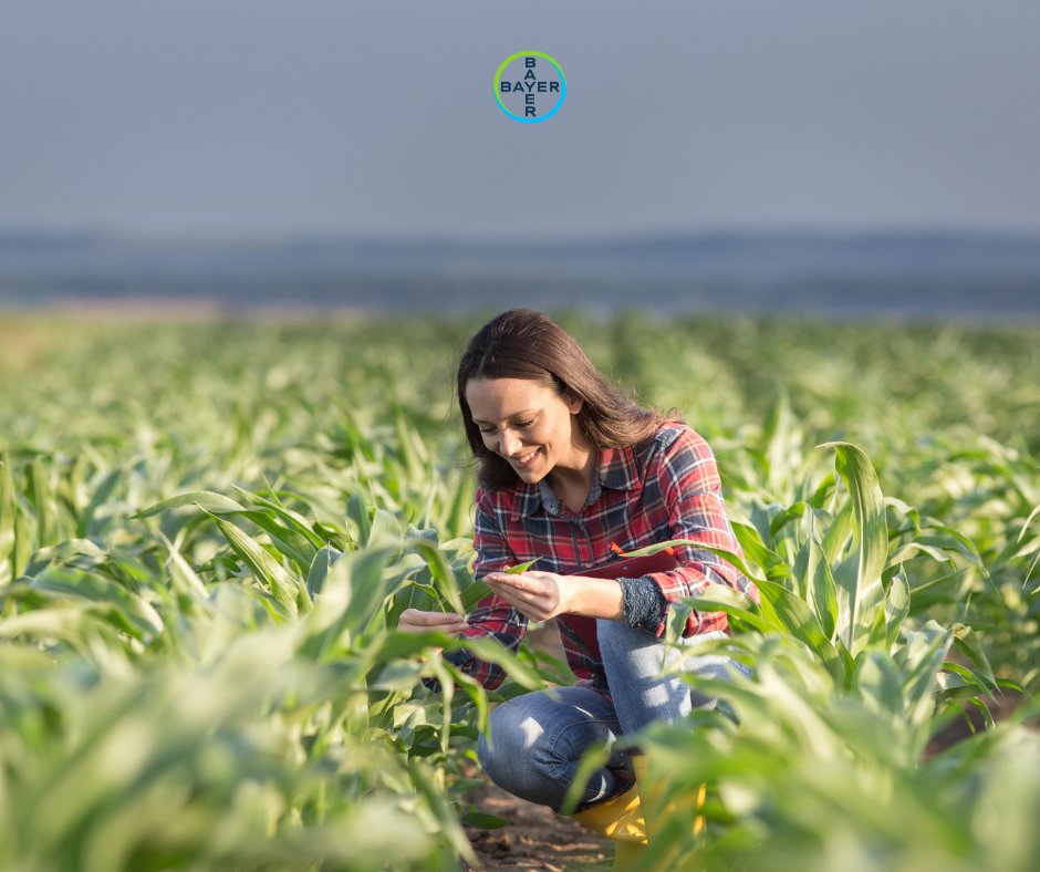 Bayer4CropsUS's tweet photo. Women across agriculture are contributing their knowledge, leadership and passion to help grow a stronger future for farming. From the field to the lab, their perspectives help drive progress across our industry. Bayer proudly celebrates the women who help agriculture thrive. https://t.co/7qMZe4lmHF