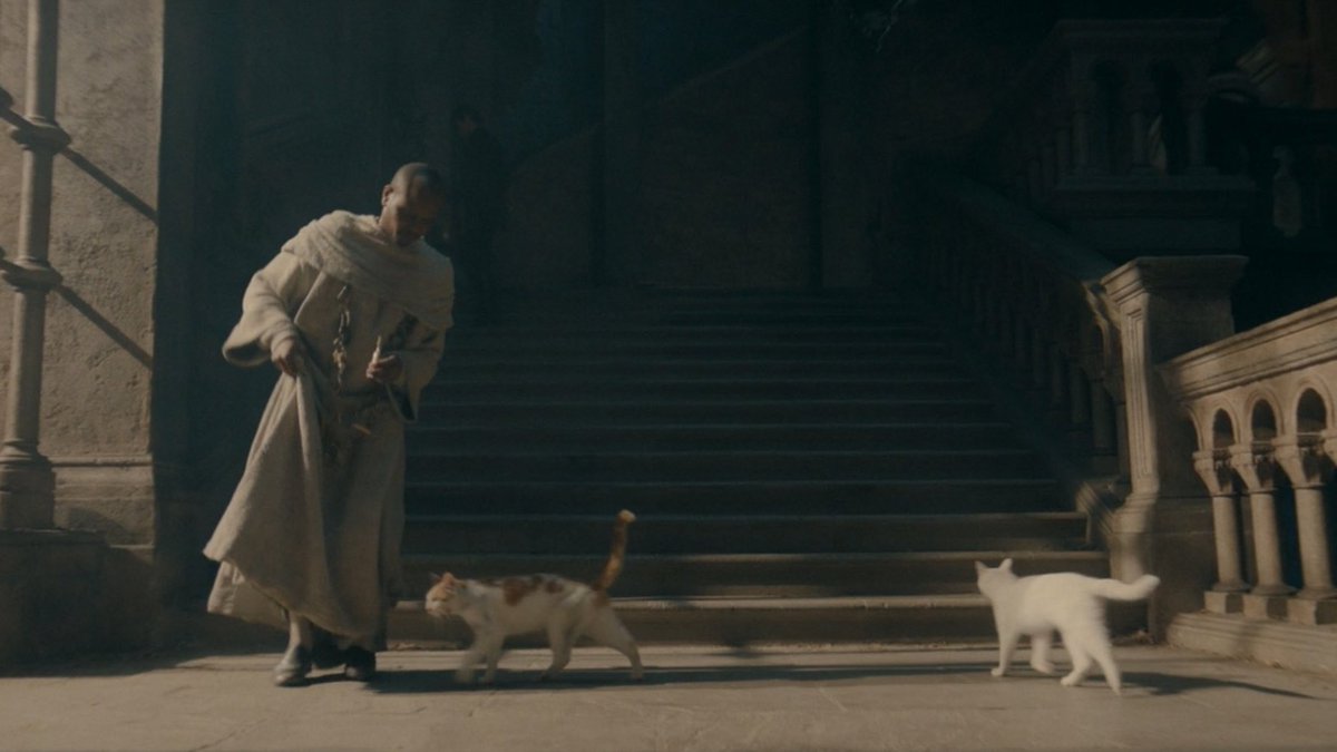 HouseofDragon's tweet photo. This week, House of the Dragon became House of the Cats. To honor the ancestors of Ser Pounce, reply with pictures of your cat and which dragon you think they identify closest to. https://t.co/So4KReVKdw