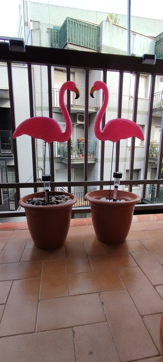 Igan1986's tweet photo. Se han colado un par de pájaros en mi balcón 🦩 🦩. Debe ser época de migración 🤔 😂😂😂

#flamencos #balcón #frikadas #verano https://t.co/tVQXcxcexj