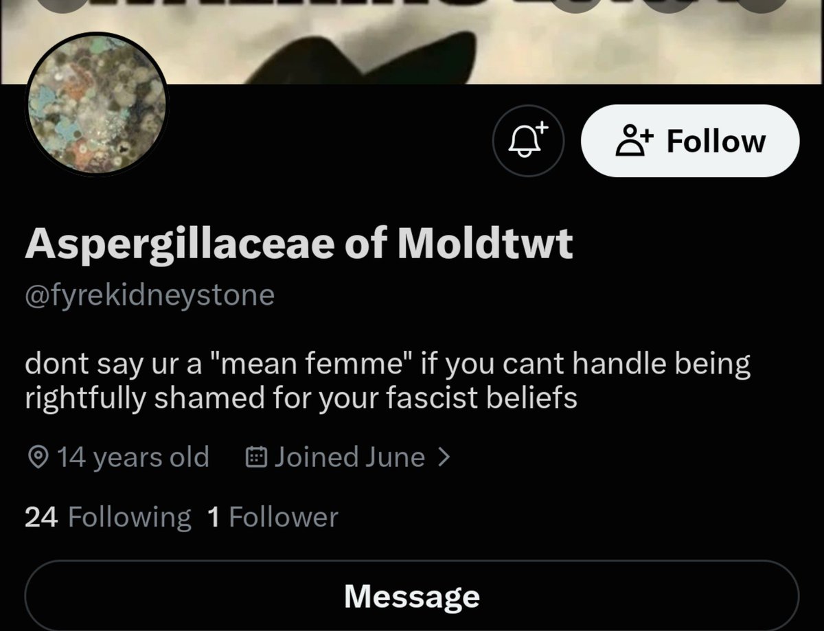 doloresmustkill's tweet photo. my first subtweet kinda nervous 🩷 https://t.co/f064rRebkQ