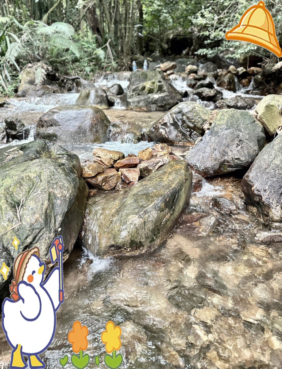 LisaLeona251624's tweet photo. Woke up to golden sunlight filtering through pine trees, fresh coffee in hand, and only the sound of crickets and a distant stream. This camp weekend hit different. https://t.co/jBhV8gISCB