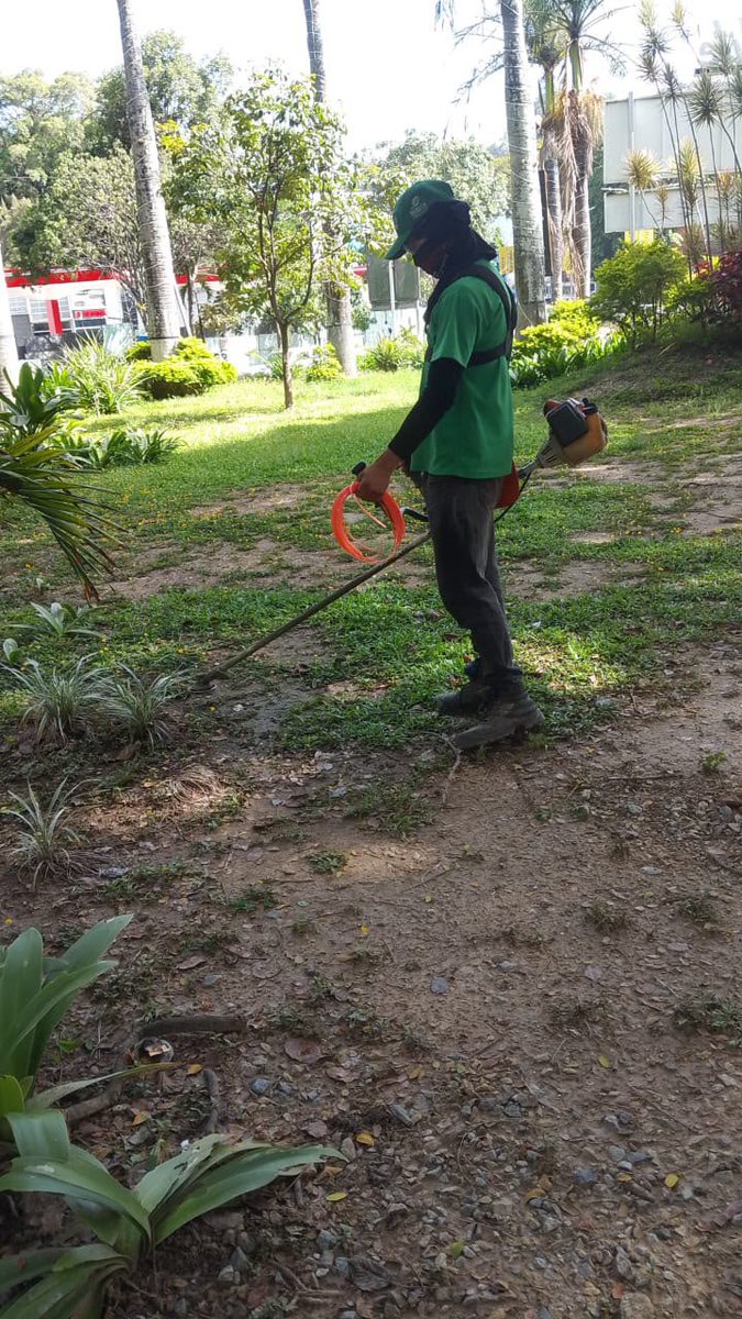 AlcaldiaBaruta's tweet photo. ¡Feliz tarde baruteños! 🍃
Nuestras cuadrillas de #AcciónInmediata se encuentran desplegadas realizando labores de:
🍃Desmalezado:
📍Urb. #SanLuis
📍Sector. #LasMinas
🚧Restauración de pintura en reja perimetral:
📍Urb. #SantaPaula
🍃Saneamiento ambiental:
📍Urb. #LaTrinidad https://t.co/SIwdZwaA9f
