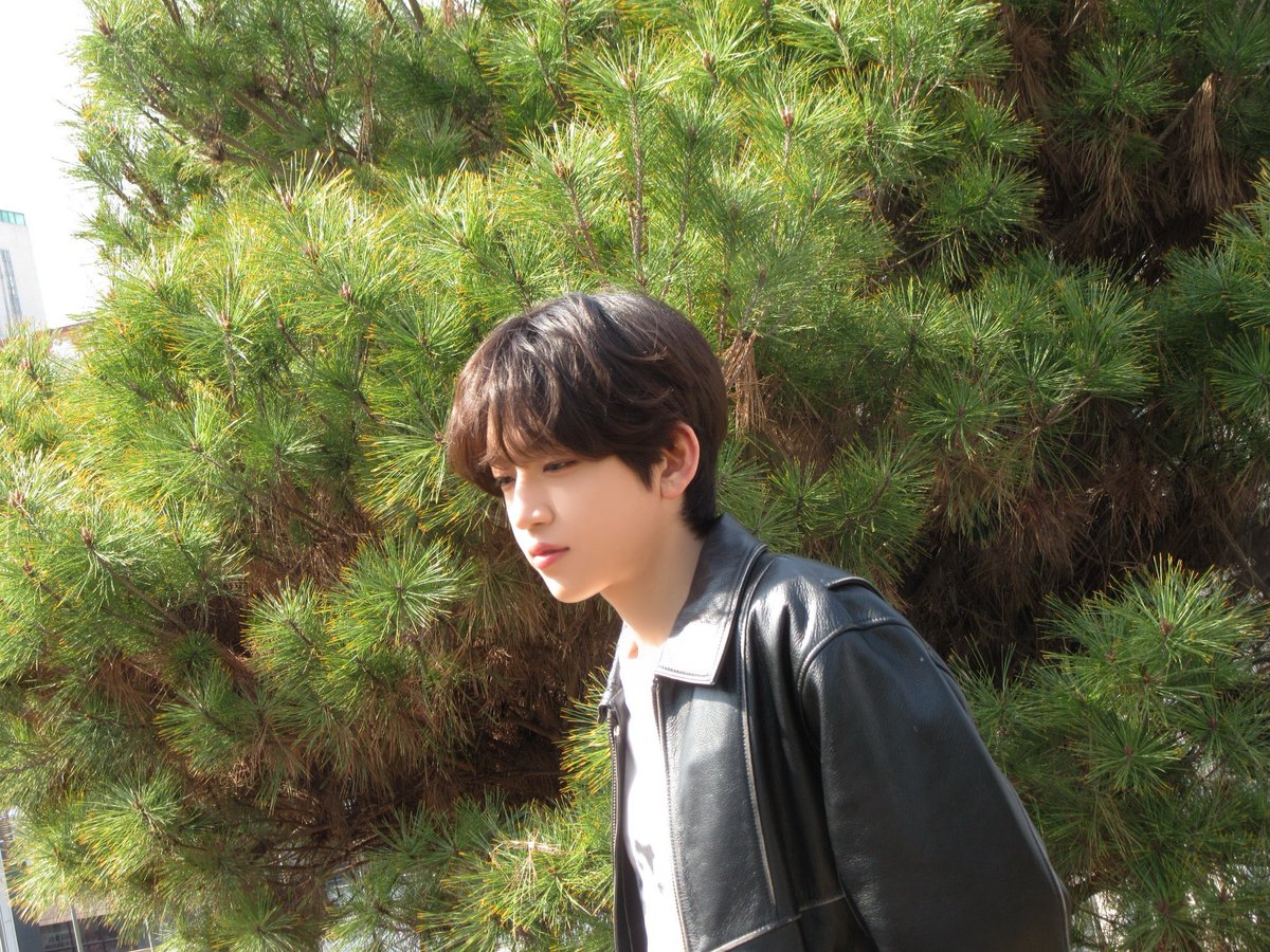 a1lswo7's tweet photo. 햇살받으니까좀더따뜻한만두가됐네 약간냉동만두해동해서말랑해진느낌 https://t.co/QZXfoZlbO7