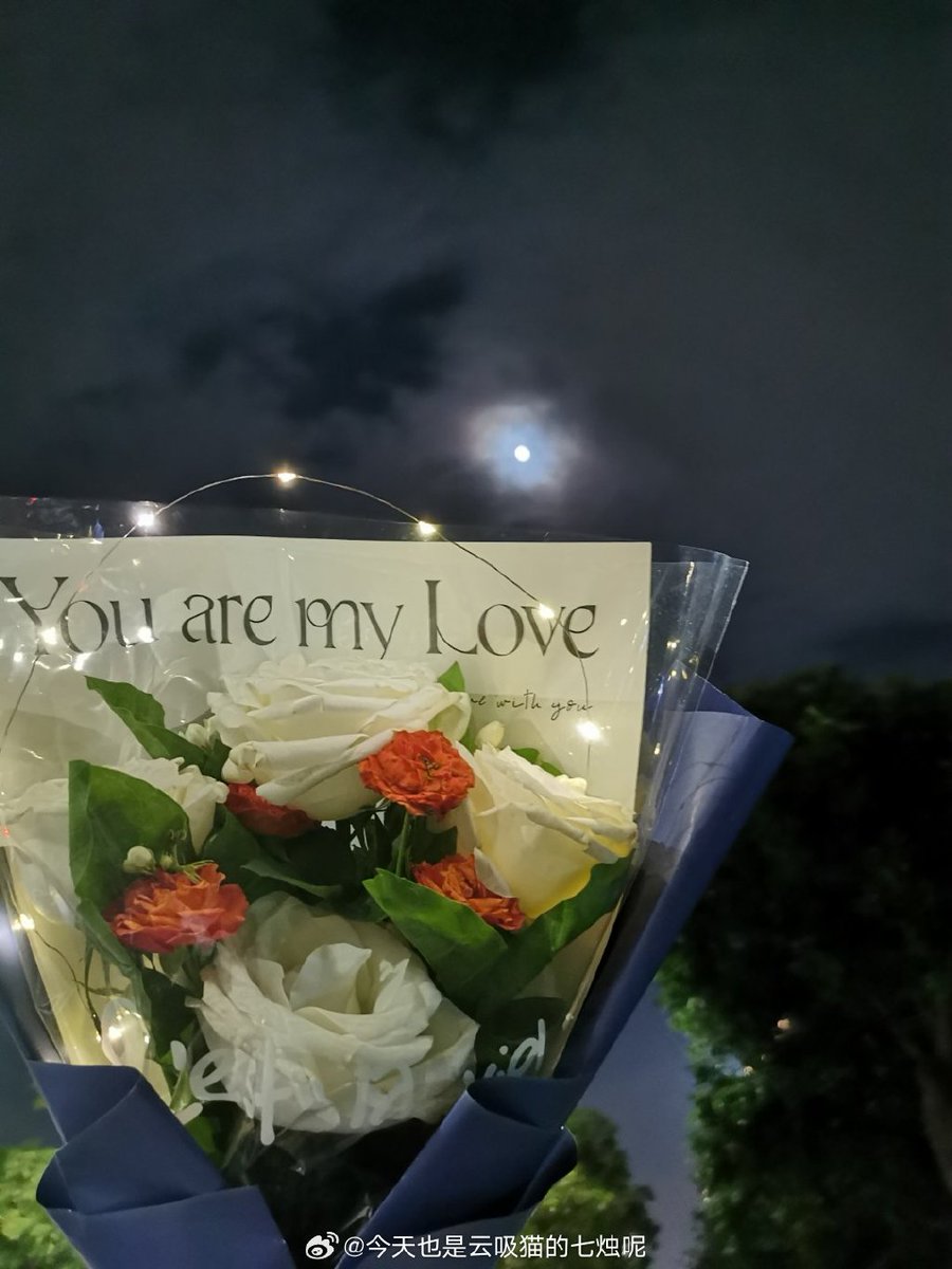 audwl_528's tweet photo. Stumbled on this tiny flower stall on our evening walk and my partner quietly bought my favorite peonies for me—small moments that feel like the whole world https://t.co/CYgcrg3Mf7