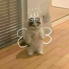 azelmona's tweet photo. @FSL20000 ouaiis merciiii https://t.co/XHdhMqqR1t