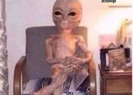 fw_Neon's tweet photo. My mom: look at you, just high and stupid 

Me: https://t.co/Vf9Yg7RAAB