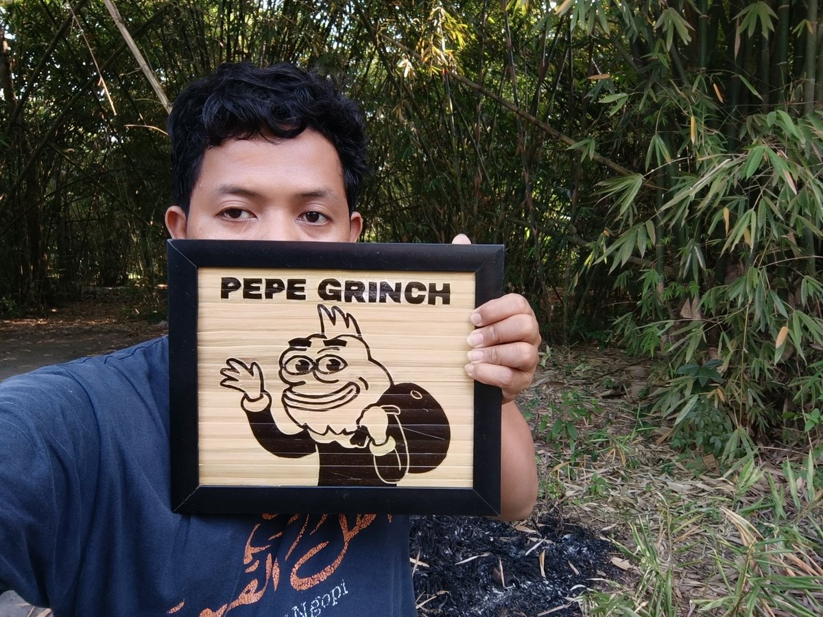 titavajer's tweet photo. @1000xgirl $GRINCH great in the future @crypto_crores https://t.co/4rRHQqLopW