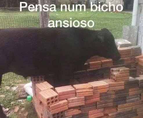 descomplica's tweet photo. @xrcsart ESTAMOS ASSIM https://t.co/JiTfkJ3L6W