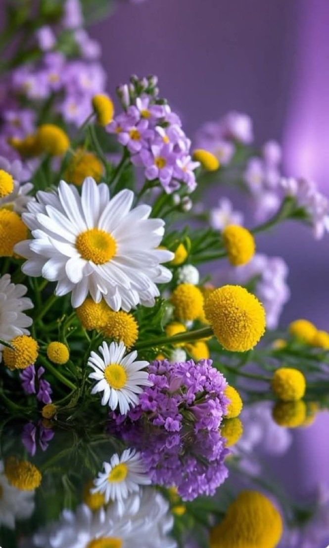 LldiajA80388's tweet photo. " Seize the moments of happiness, love and be loved!. That is the only reality in the world, all else is folly..." (L. Tolstoy) 💜

     Happy evening ✨💫 https://t.co/n0SGlx3Q8B
