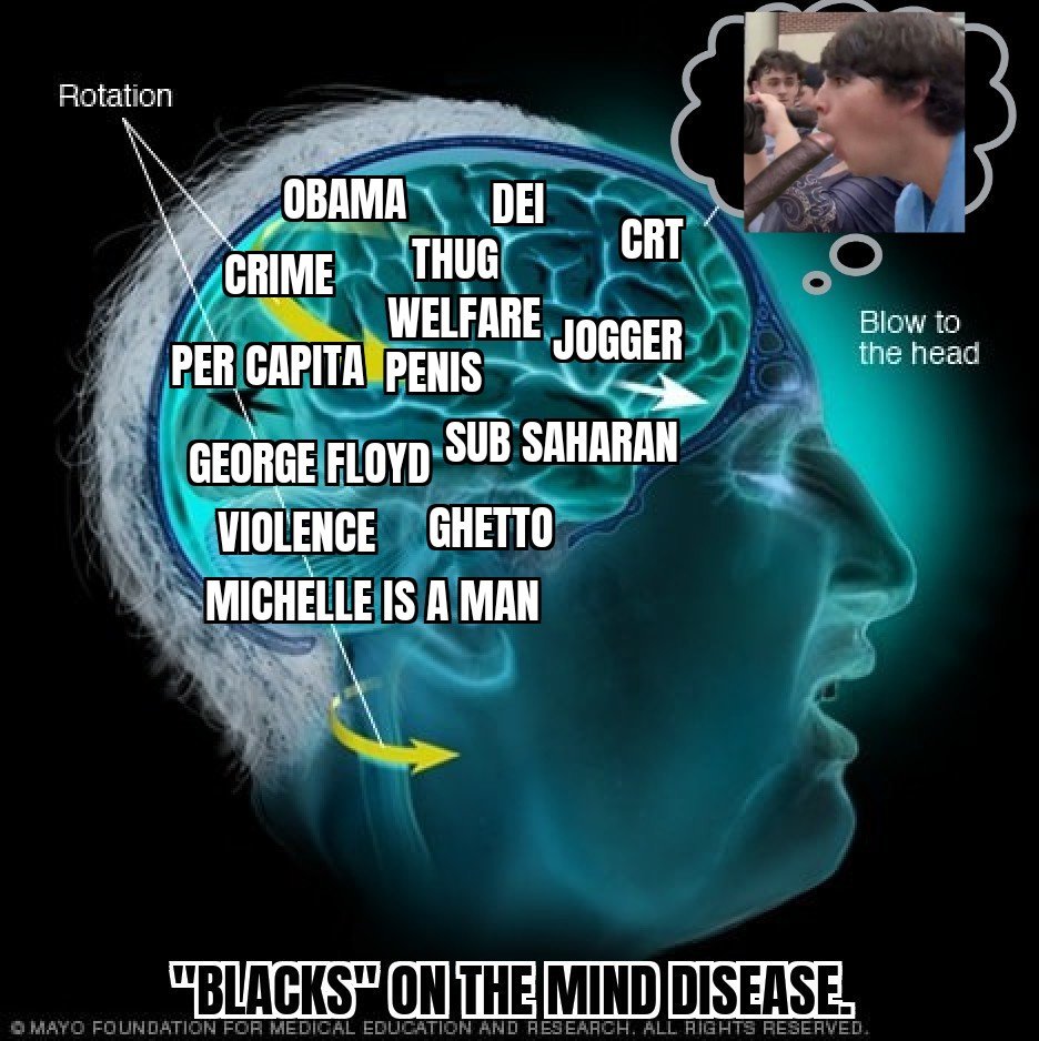 Another Caged Bird tweet media