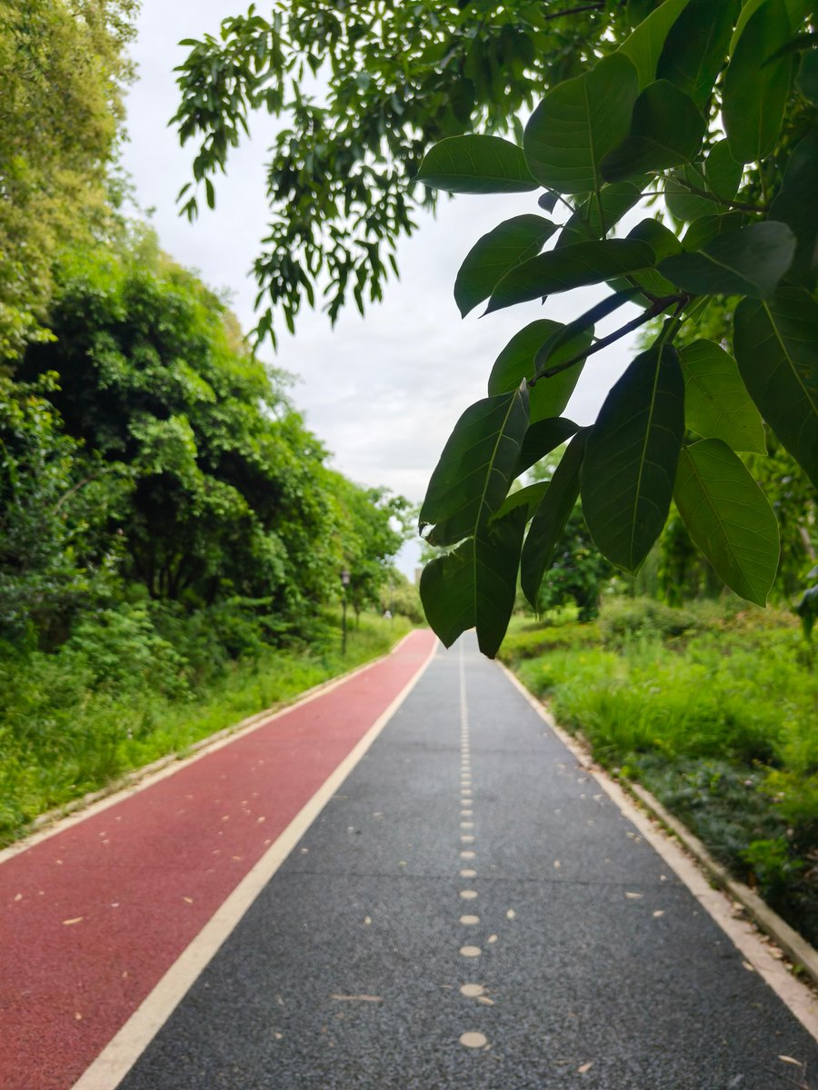 BequerStacy's tweet photo. Prioritize 7hrs of sleep u0026 15 mins of daily walk—small, daily moves = big health wins. Your body will thank you! ， https://t.co/ubRZ0d8l9T