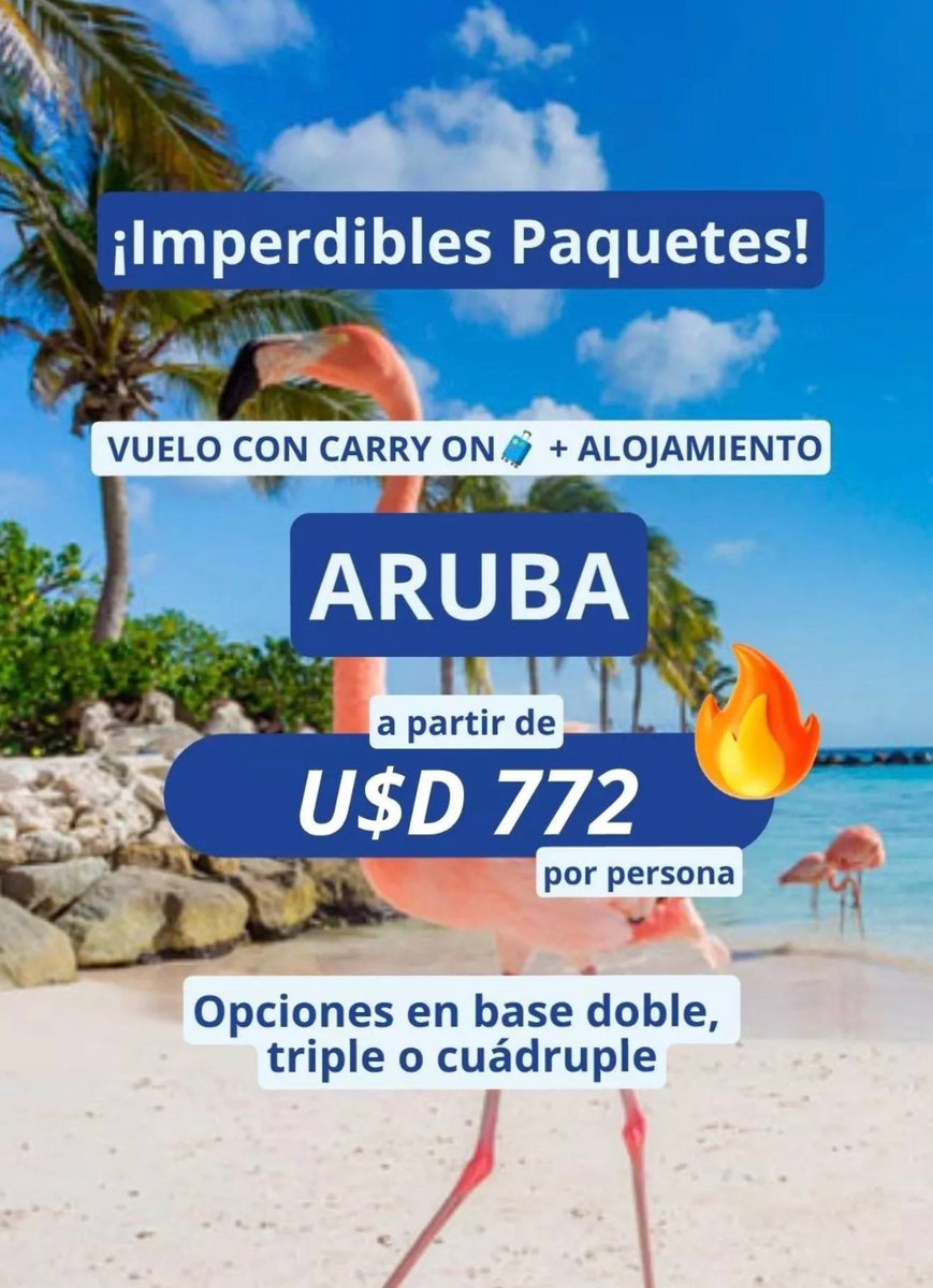 vmenditto's tweet photo. 🇦🇼 Paquetes tremendos con carry on + alojamiento por solo $772

Metele acá 
https://t.co/Q3UhmjyTq9 https://t.co/jYyTTqqtRt
