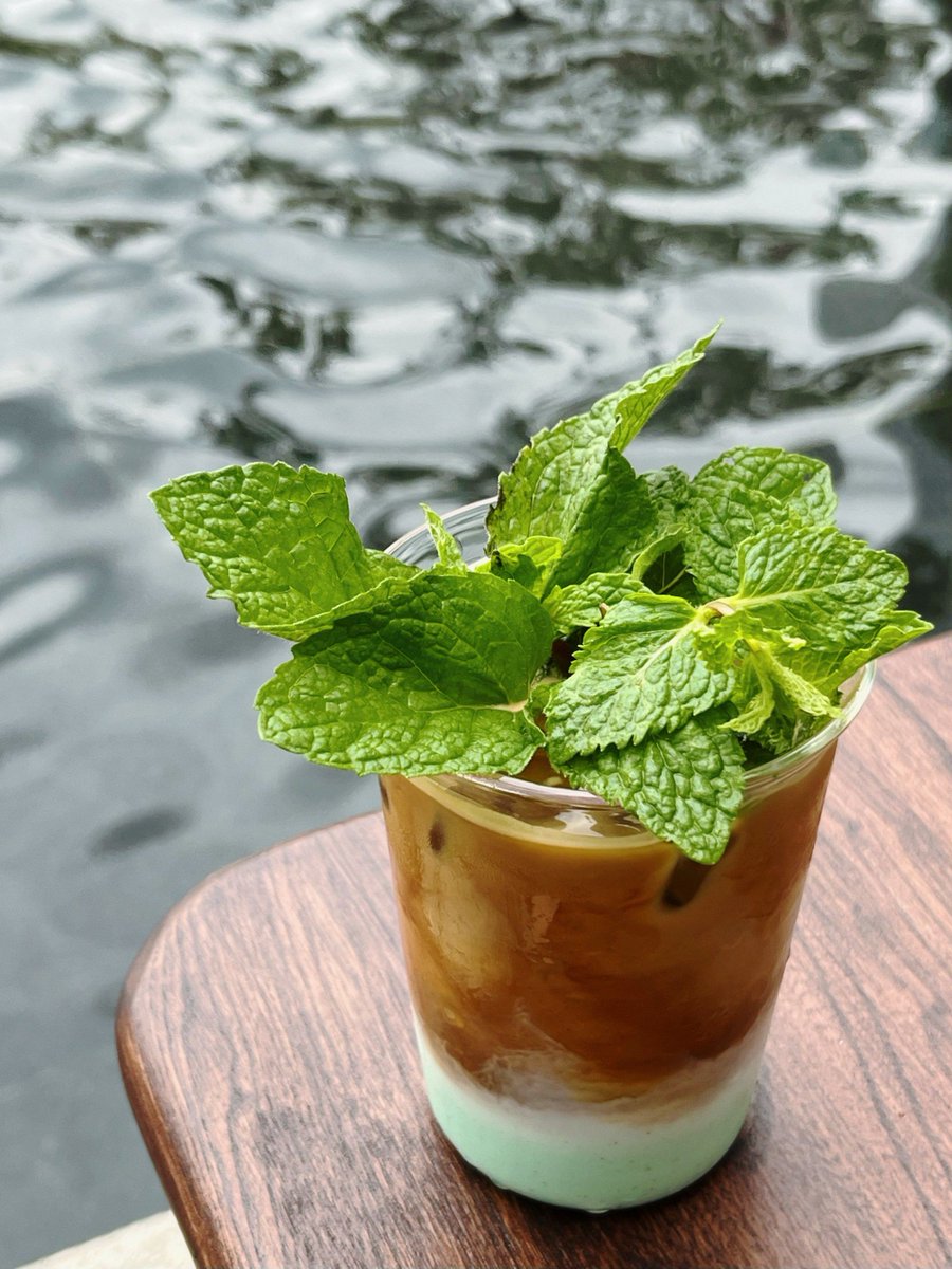 Iiliskkka14's tweet photo. Whip up a 2-min iced lemon mint latte! Muddle mint, add cold brew + lemon juice, top with ice—refreshing pick-me-up ready in seconds. https://t.co/9LpgPu9sus