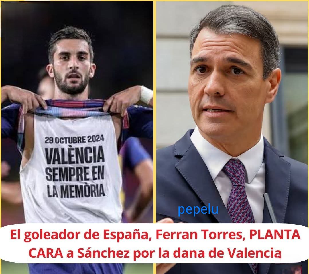 SegundoBar78953's tweet photo. No se puede olvidar que el  
hijo de la gran puta del Felon.
Fue el único responsable de la omisión de socorro al pueblo valenciano, durante la Dana. https://t.co/upT39oeAGk