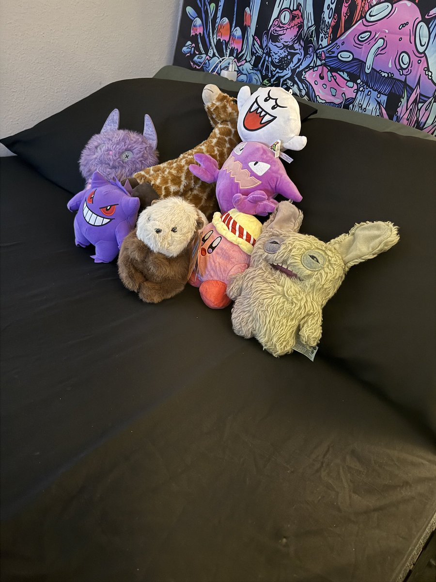 patheticmaxxing's tweet photo. i need more plushies https://t.co/itOuS5HfQA