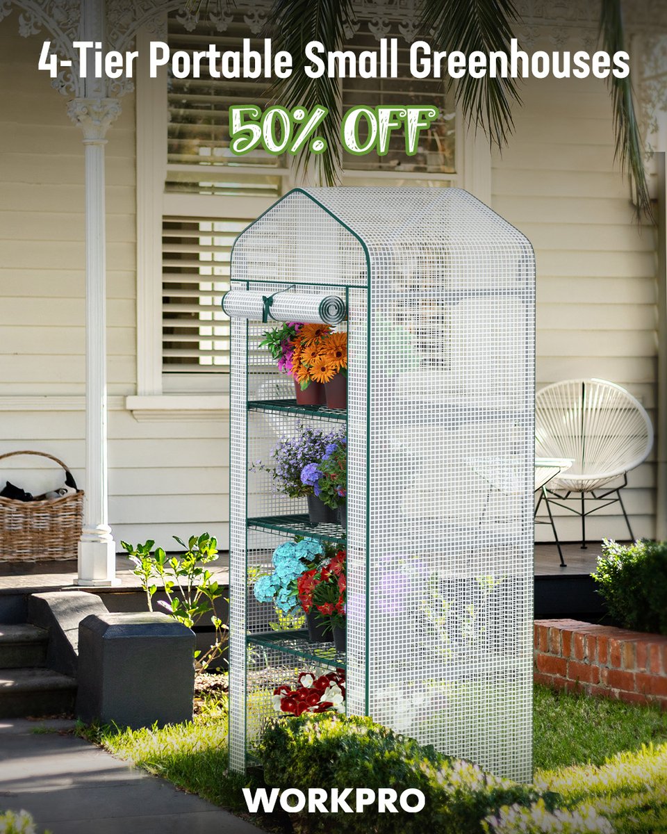 workpro_tools's tweet photo. 🌱🪴🌷 Create the perfect year-round growing space with the WORKPRO Mini Greenhouse. 🚨𝟱𝟬% 𝗢𝗳𝗳! 𝗨𝘀𝗲 𝗖𝗼𝗱𝗲: 𝟰𝗗𝗙𝗭𝟵𝗡𝟯𝗖 at
https://t.co/sOiYtDPPpe

🌿4 Shelves - hold up to 29lbs each! 
#workprotools
#MiniGreenhouse
#greenhouse
#Gardening
#GardenLife https://t.co/UiEjEWoLl0