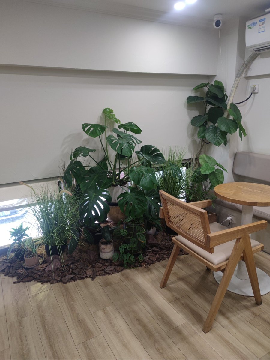 AshleyHendryx02's tweet photo. [Got my morning coffee, settled in, and the best desk view is... this cozy window seat. Friday slay = mid-morning reset mode on. ] https://t.co/Nm1s739LUV