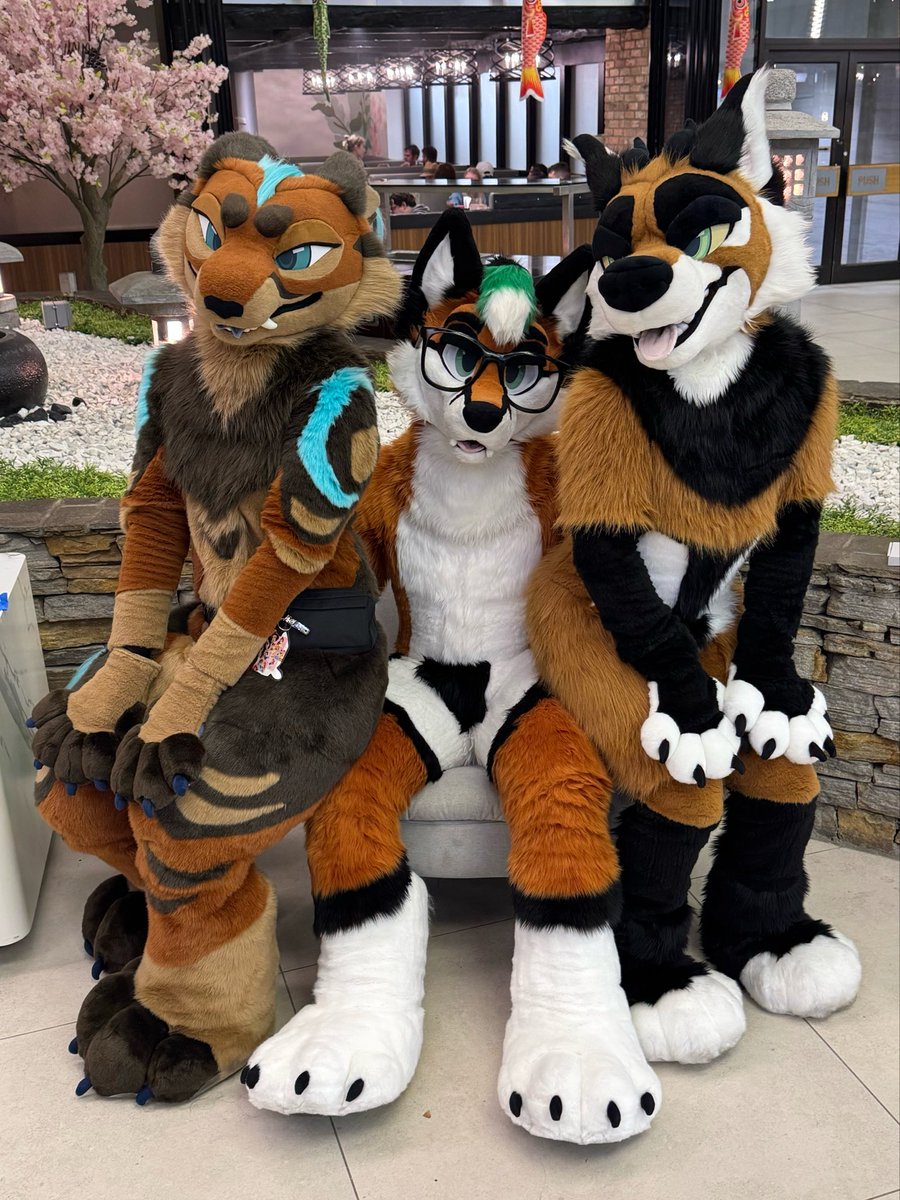 FallaTheFox's tweet photo. Me and my dogs🐶 https://t.co/DoPvYWDXJh