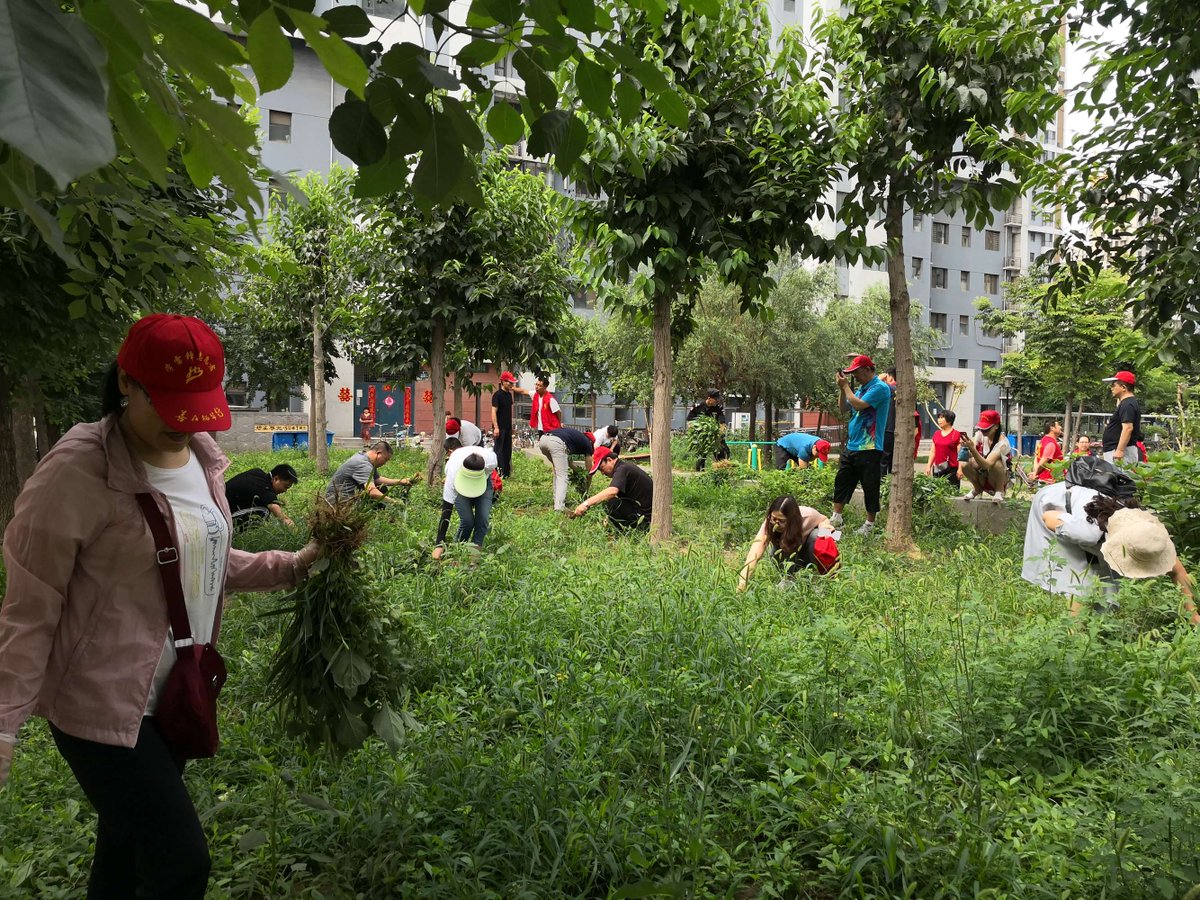 5xCZ8qT8tMBCEfk's tweet photo. Join our neighborhood clean-up this Saturday at 9 AM at Central Park! Bring gloves u0026 friends, let’s spruce up our community together!， https://t.co/GTfRifQQGs