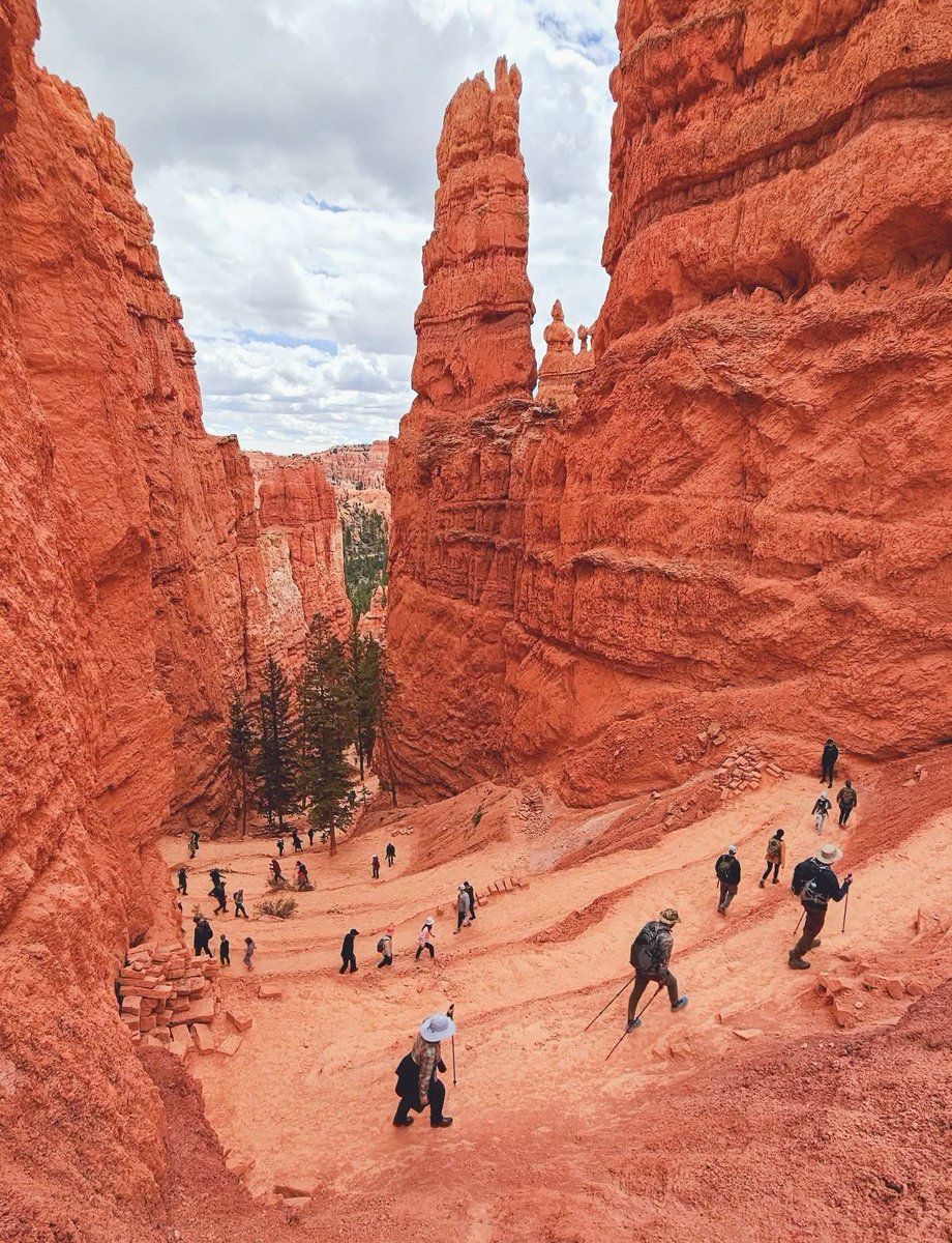 DNatives67667's tweet photo. Navajo Loop Trail, Bryce Canyon National Park, Utah 🇺🇸 https://t.co/INYUC7iHYv