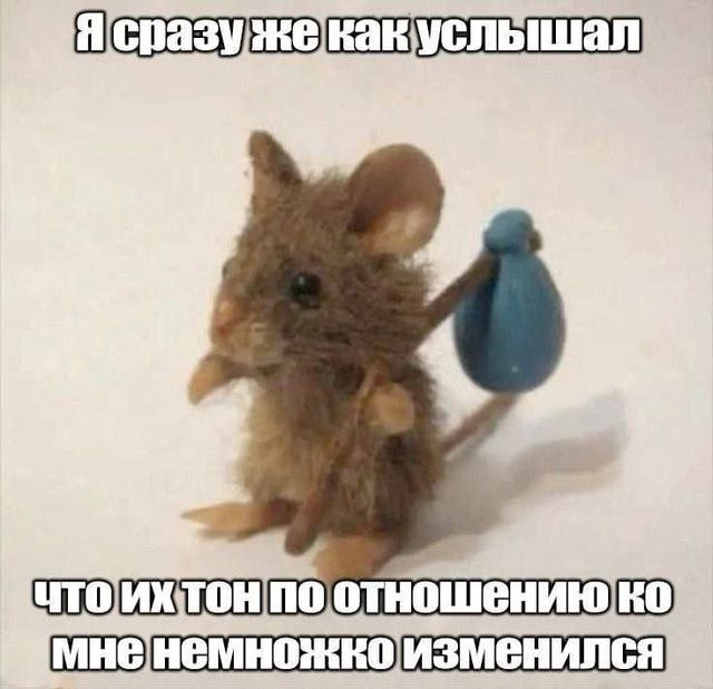 DanielMeows's tweet photo. https://t.co/aE4UsYZCSy