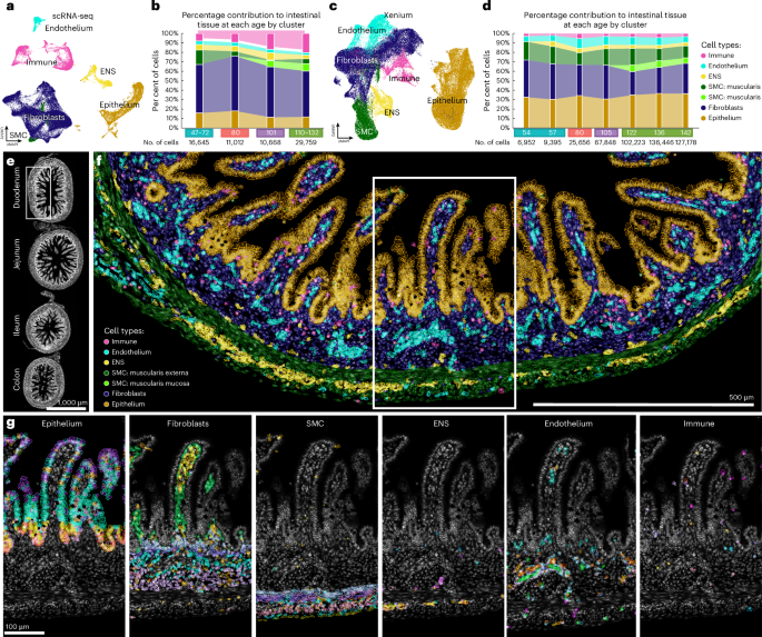 Waggoner Lab tweet media